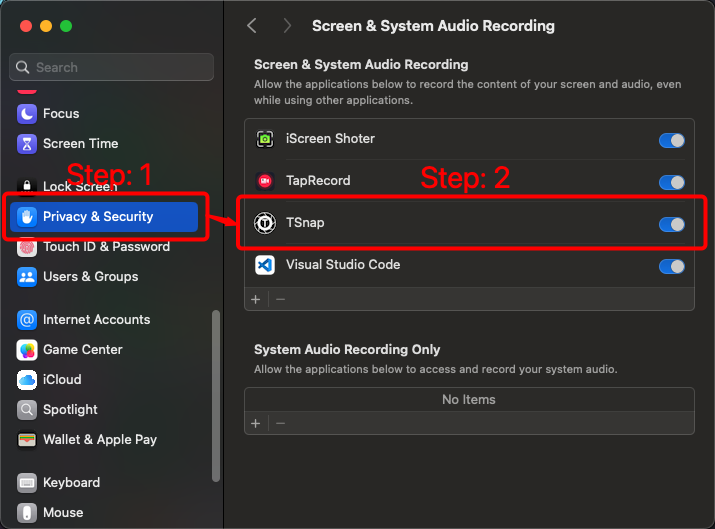 Screen & System Recording